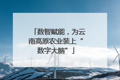 数智赋能，为云南高原农业装上“数字大脑”