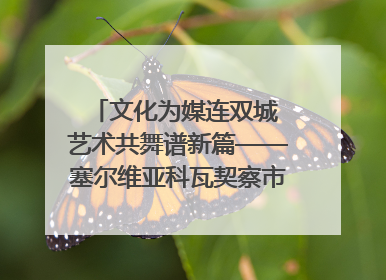 文化为媒连双城 艺术共舞谱新篇——塞尔维亚科瓦契察市代表团访问日照