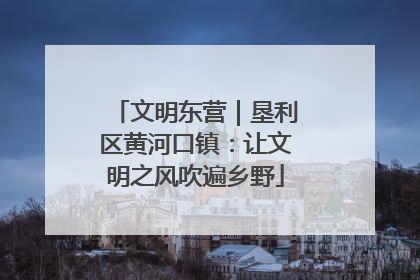 文明东营｜垦利区黄河口镇：让文明之风吹遍乡野