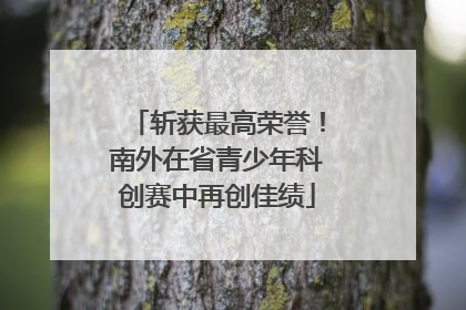 斩获最高荣誉！南外在省青少年科创赛中再创佳绩
