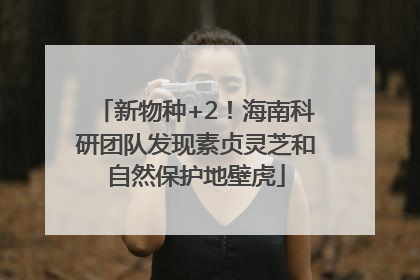 新物种+2！海南科研团队发现素贞灵芝和自然保护地壁虎