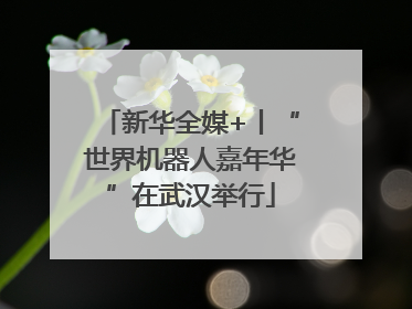 新华全媒+丨“世界机器人嘉年华”在武汉举行