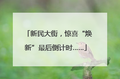 新民大街，惊喜“焕新”最后倒计时……