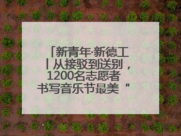 新青年·新德工丨从接驳到送别，1200名志愿者书写音乐节最美“新青年答卷”