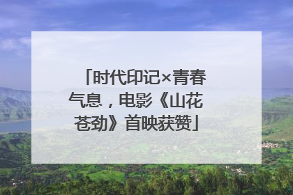 时代印记×青春气息，电影《山花苍劲》首映获赞