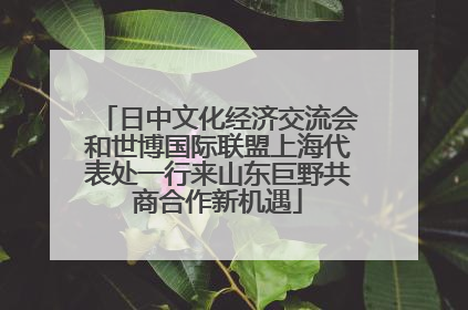 日中文化经济交流会和世博国际联盟上海代表处一行来山东巨野共商合作新机遇