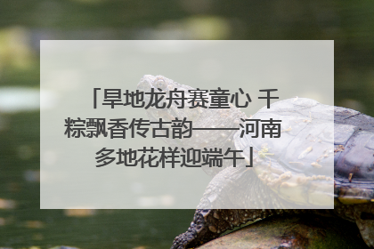 旱地龙舟赛童心 千粽飘香传古韵——河南多地花样迎端午