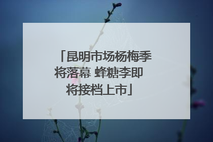 昆明市场杨梅季将落幕 蜂糖李即将接档上市