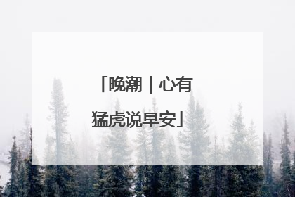 晚潮｜心有猛虎说早安