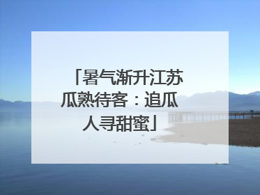 暑气渐升江苏瓜熟待客：追瓜人寻甜蜜