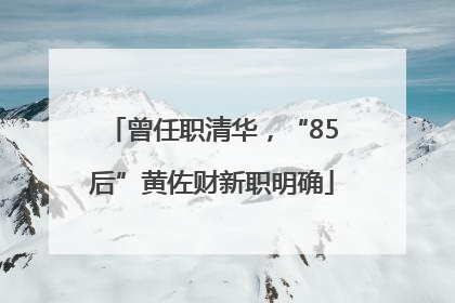 曾任职清华，“85后”黄佐财新职明确