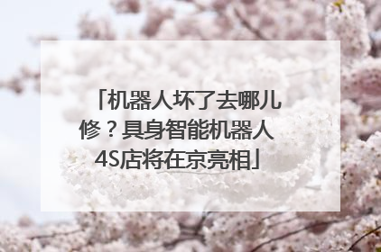 机器人坏了去哪儿修？具身智能机器人4S店将在京亮相