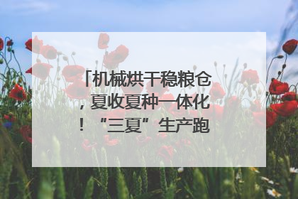机械烘干稳粮仓，夏收夏种一体化！“三夏”生产跑出加速度｜麦报