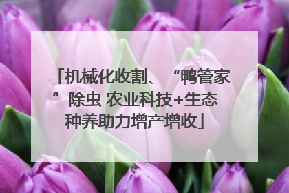 机械化收割、“鸭管家”除虫 农业科技+生态种养助力增产增收