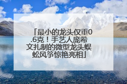 最小的龙头仅重0.6克！手艺人庞希文扎制的微型龙头蜈蚣风筝惊艳亮相
