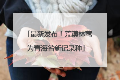 最新发布！荒漠林莺为青海省新记录种