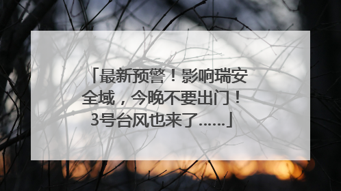 最新预警！影响瑞安全域，今晚不要出门！3号台风也来了……