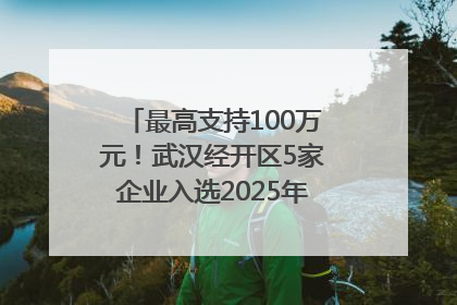 最高支持100万元！武汉经开区5家企业入选2025年度武汉市重点研发计划拟立项项目名单