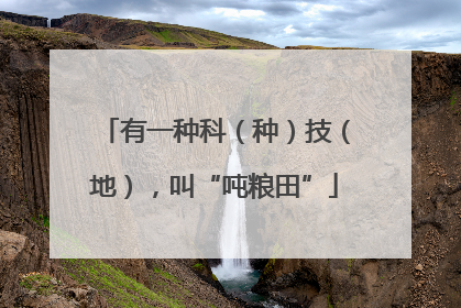 有一种科（种）技（地），叫“吨粮田”
