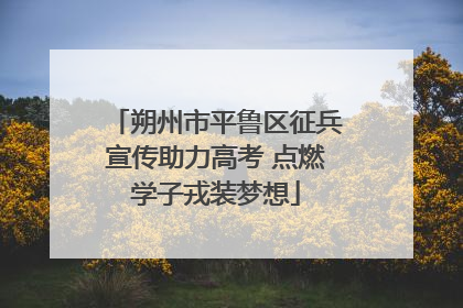 朔州市平鲁区征兵宣传助力高考 点燃学子戎装梦想