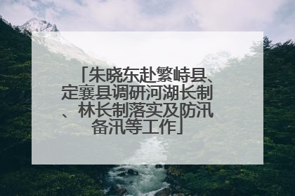 朱晓东赴繁峙县、定襄县调研河湖长制、林长制落实及防汛备汛等工作