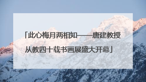 此心梅月两相知——唐建教授从教四十载书画展盛大开幕