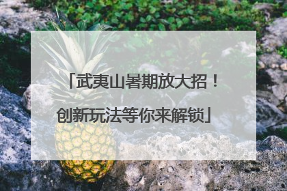 武夷山暑期放大招！创新玩法等你来解锁