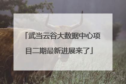 武当云谷大数据中心项目二期最新进展来了