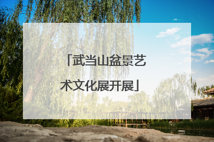 武当山盆景艺术文化展开展