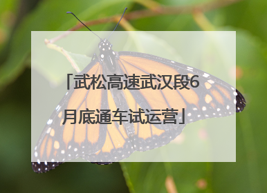 武松高速武汉段6月底通车试运营