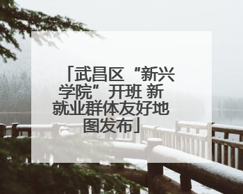 武昌区“新兴学院”开班 新就业群体友好地图发布