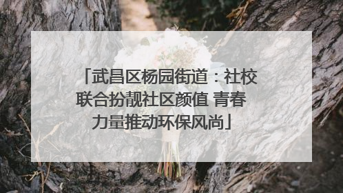 武昌区杨园街道：社校联合扮靓社区颜值 青春力量推动环保风尚