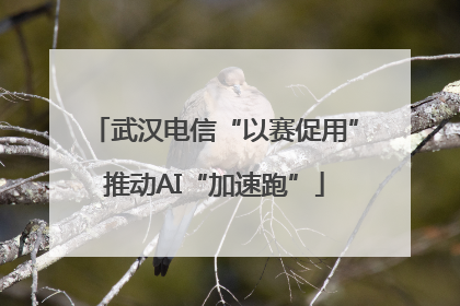 武汉电信“以赛促用”推动AI“加速跑”