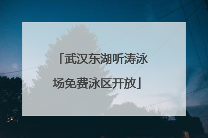 武汉东湖听涛泳场免费泳区开放
