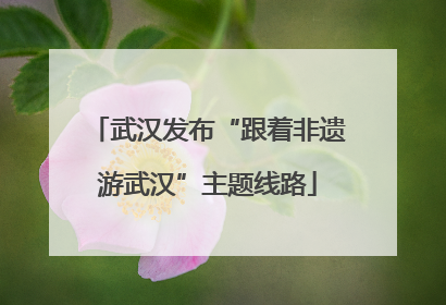 武汉发布“跟着非遗游武汉”主题线路