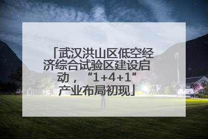 武汉洪山区低空经济综合试验区建设启动，“1+4+1”产业布局初现