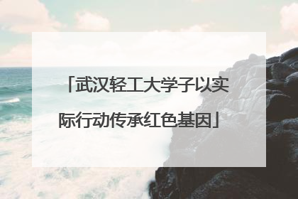 武汉轻工大学子以实际行动传承红色基因