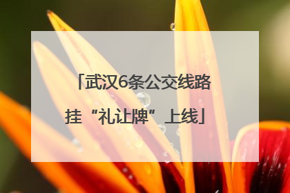 武汉6条公交线路挂“礼让牌”上线
