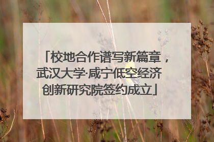 校地合作谱写新篇章，武汉大学·咸宁低空经济创新研究院签约成立