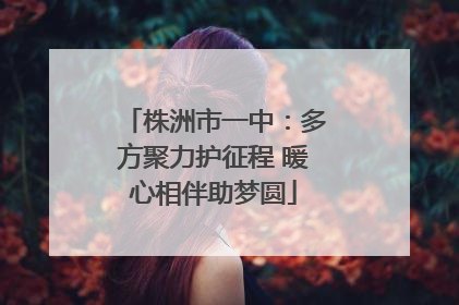 株洲市一中：多方聚力护征程 暖心相伴助梦圆