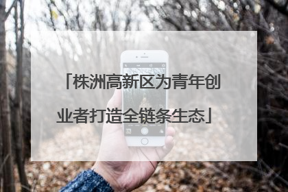 株洲高新区为青年创业者打造全链条生态