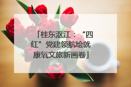 桂东沤江：“四红”党建领航绘就康氧文旅新画卷