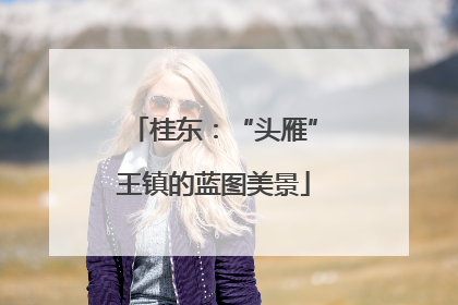 桂东：“头雁”王镇的蓝图美景