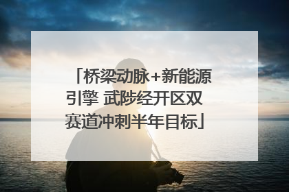 桥梁动脉+新能源引擎 武陟经开区双赛道冲刺半年目标