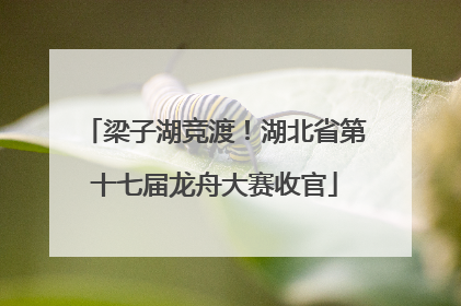 梁子湖竞渡！湖北省第十七届龙舟大赛收官