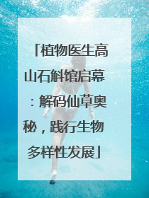 植物医生高山石斛馆启幕：解码仙草奥秘，践行生物多样性发展