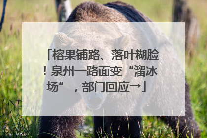 榕果铺路、落叶糊脸！泉州一路面变“溜冰场”，部门回应→