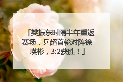 樊振东时隔半年重返赛场，乒超首轮对阵徐瑛彬，3:2获胜！