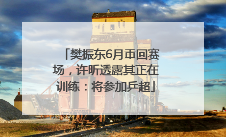 樊振东6月重回赛场，许昕透露其正在训练：将参加乒超