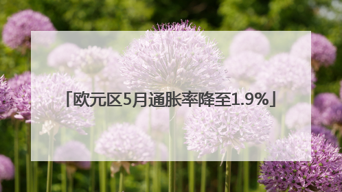 欧元区5月通胀率降至1.9%